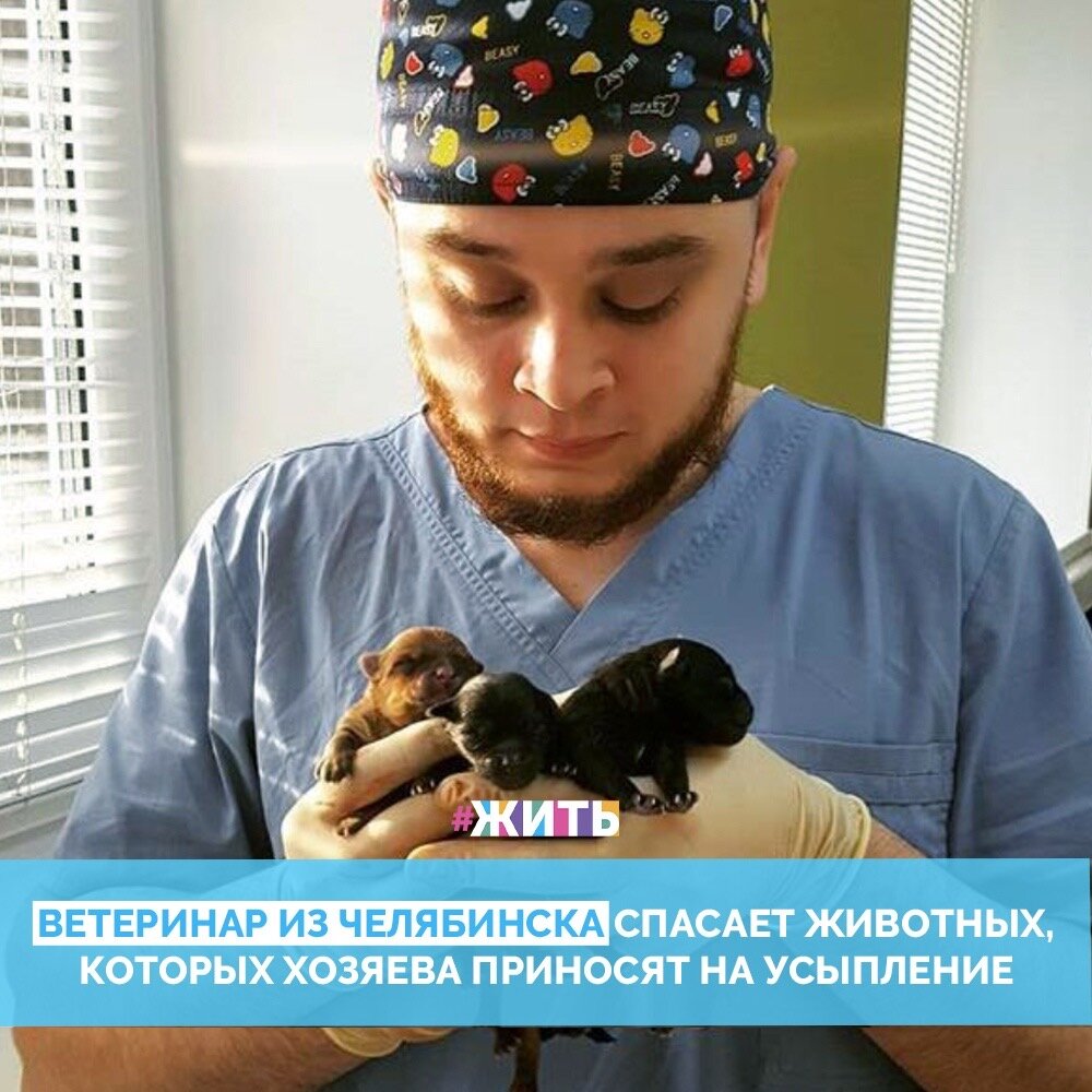 Баграт Агажанов - ветеринар из Челябинска спасает от эвтаназии животных, которых приносят на усыпление хозяева. Ненужными оказываются как молодые и здоровые питомцы, так и те, кому требуется оперативное лечение, а хозяин по какой-то причине отказывается от медпомощи😔

Самый первый случай, когда Баграт не смог усыпить животное, случился несколько лет назад. В переноске принесли котенка - выбраковка, заводчица пояснила, что животное неадекватное, шипит и кусается. Но молодой человек спас его и теперь кот превратился в прекрасное пушистое нечто😄

Казалось бы, этот человек делает не такое уж великое дело, но это не так! В первую очередь, Баграт спасает жизни и делает хорошее дело. А вы согласны с нами?😌

#жить #проектжить #добрыедела #добро