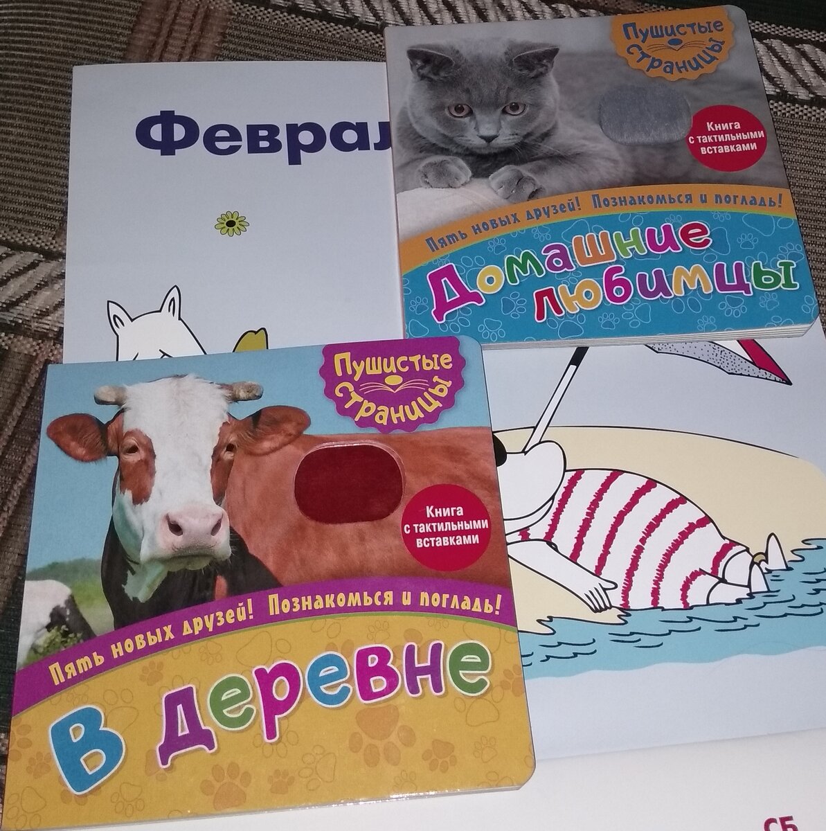 Вот такие книжечки