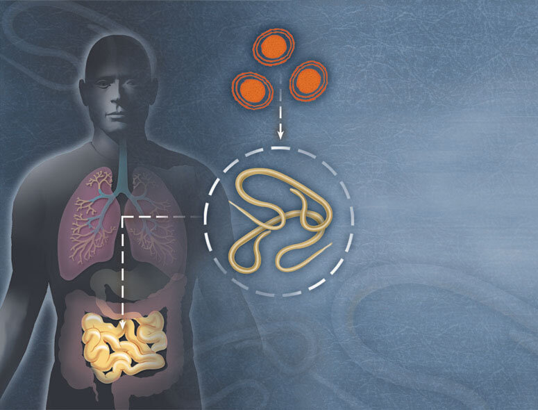 источник: /yandex.ru/images/search