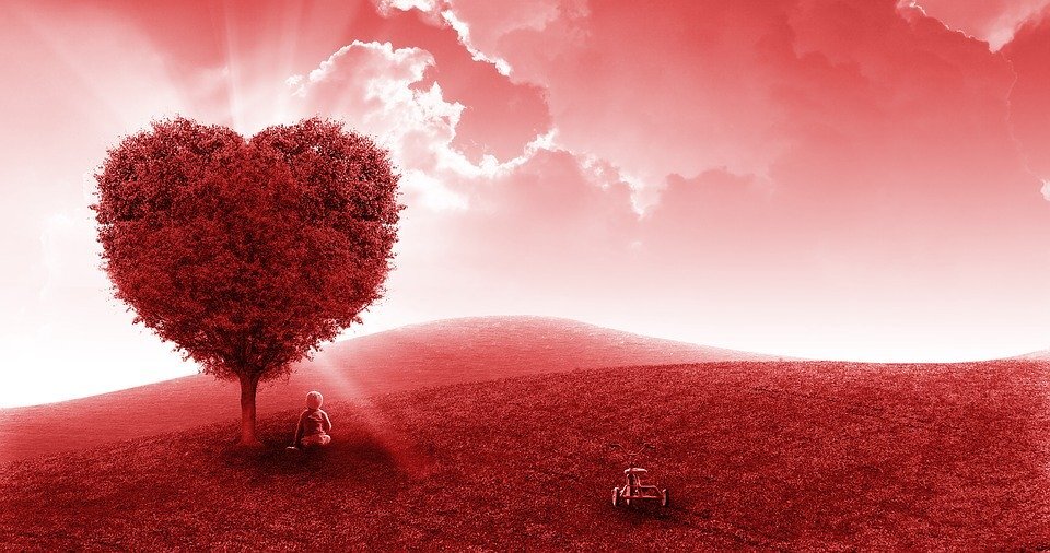 https://cdn.pixabay.com/photo/2016/06/08/15/44/landscape-1444023_960_720.jpg