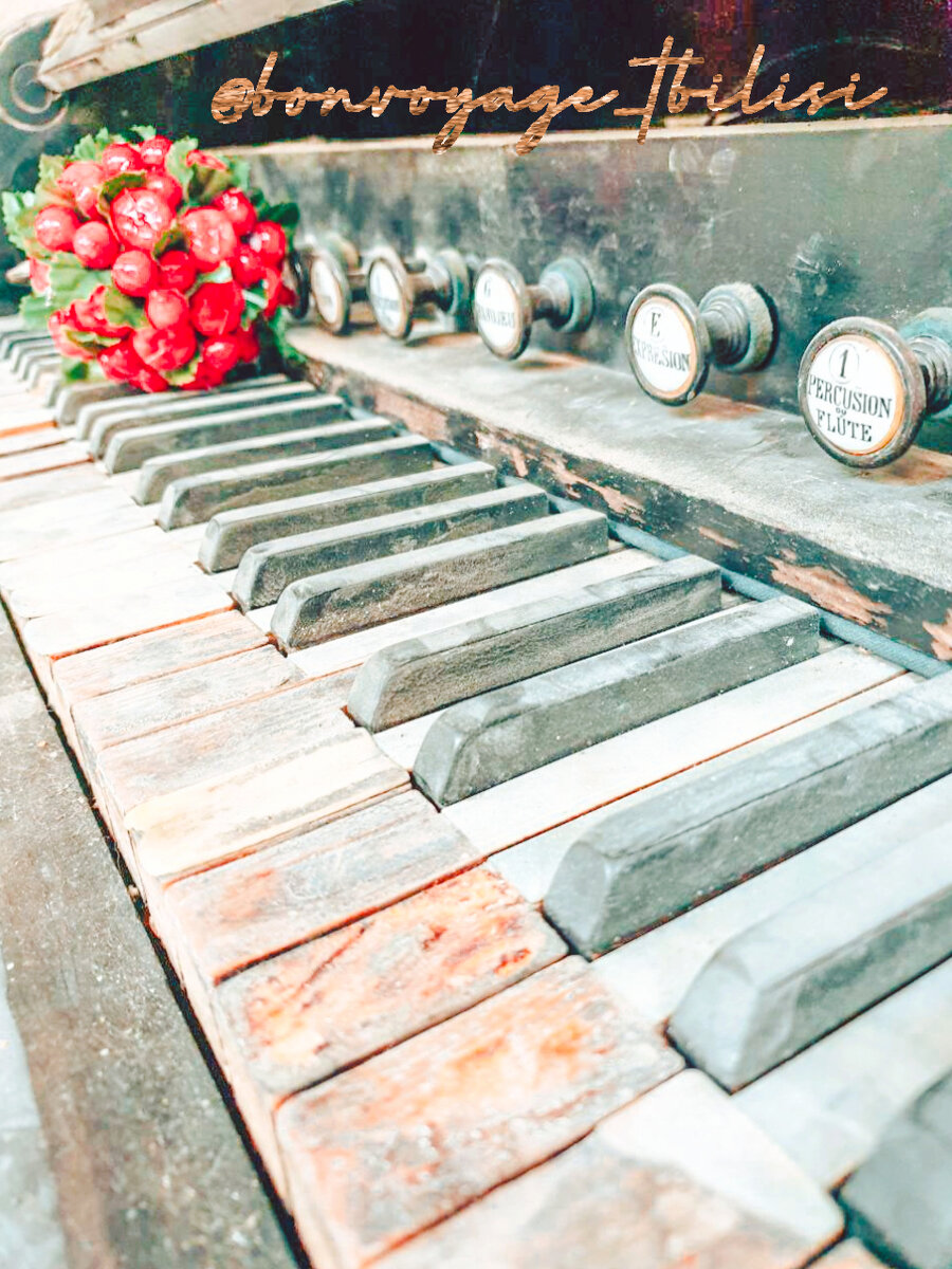 #ждувГрузии 