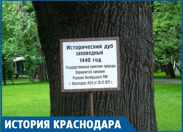 из открытого доступа.