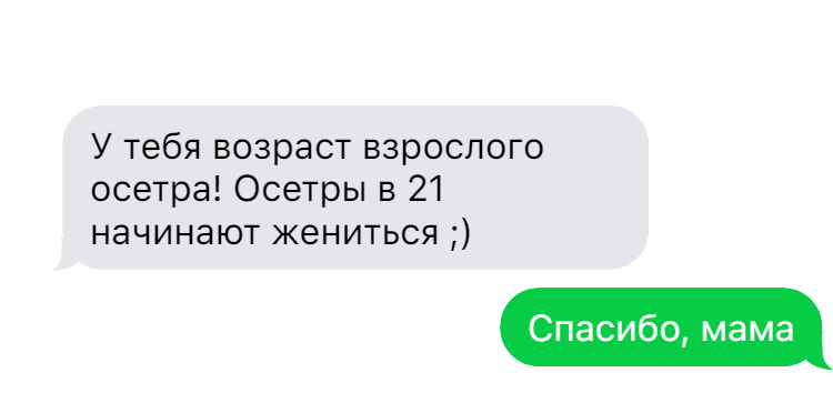 Яндекс картинки