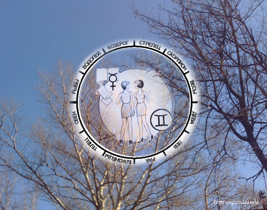 Коллаж Нины Стрелковой.