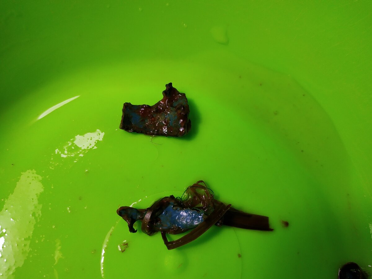 Кусочки пластика,извлечённые из кишечника собаки.