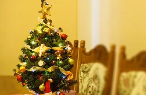 Фото из открытых источников.