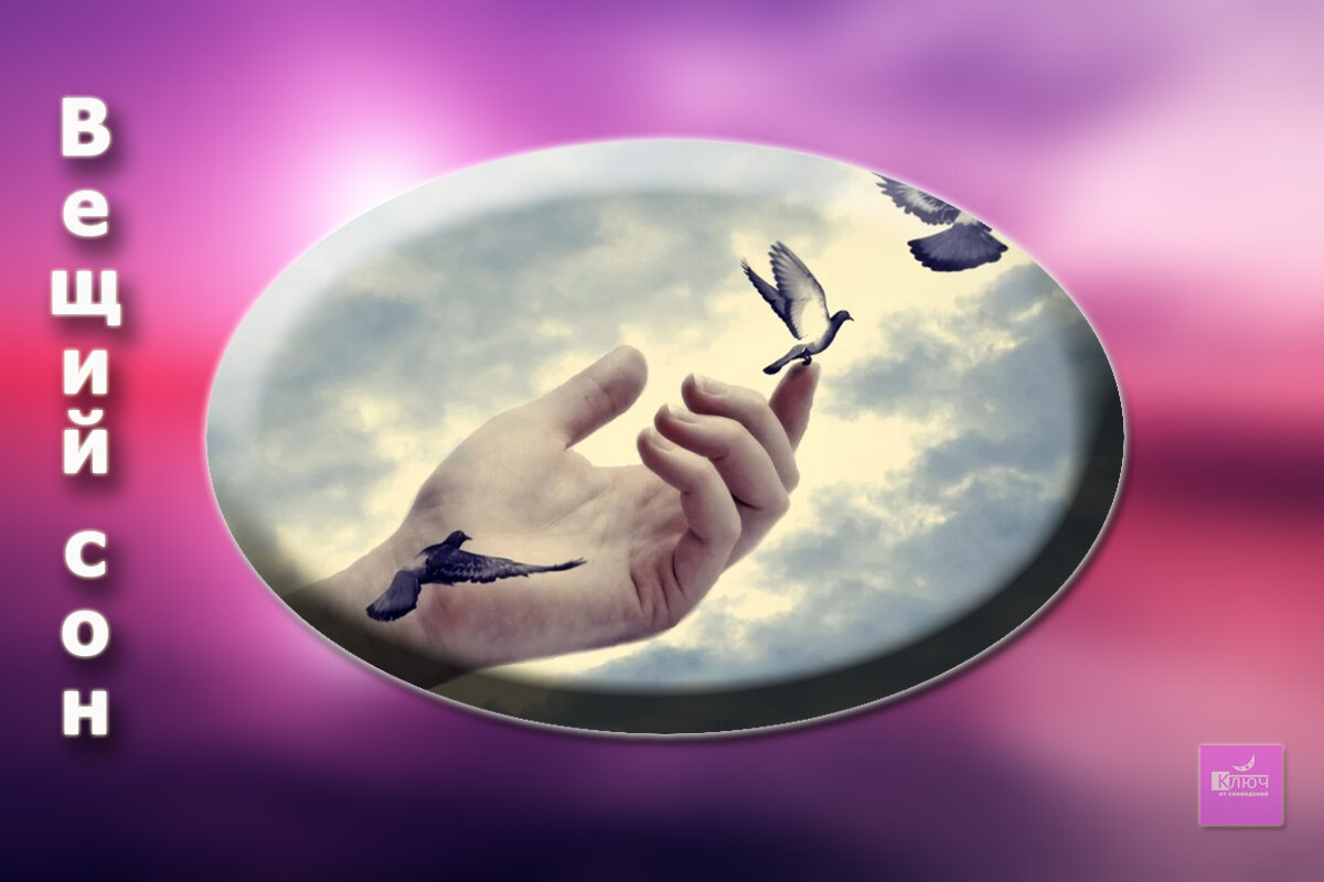 хайди прибе отпускаю тебя