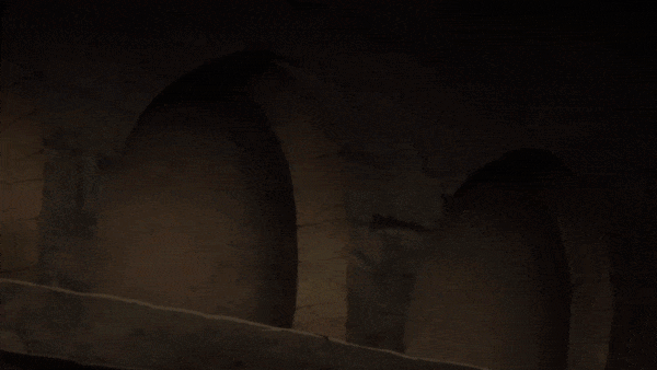 ГИФ'ка из аниме: вампирочка.