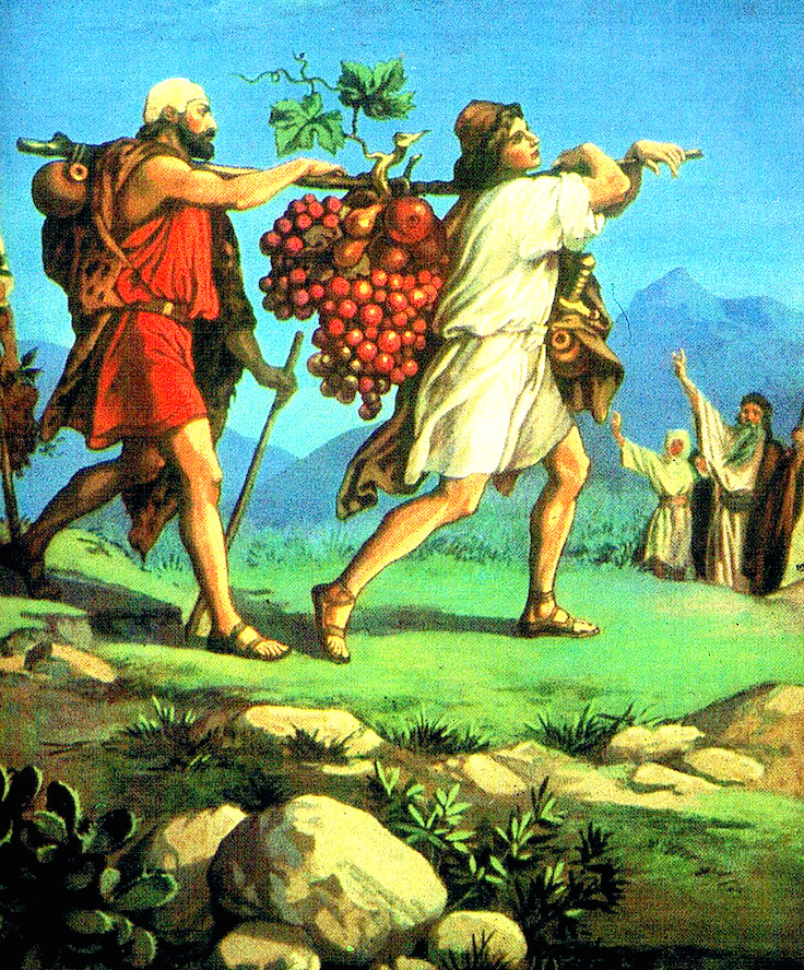Иисус Навин и Халев. Иисус Навин виноград. Иисус Навин и соглядатаи. Направление соглядатая 6 букв