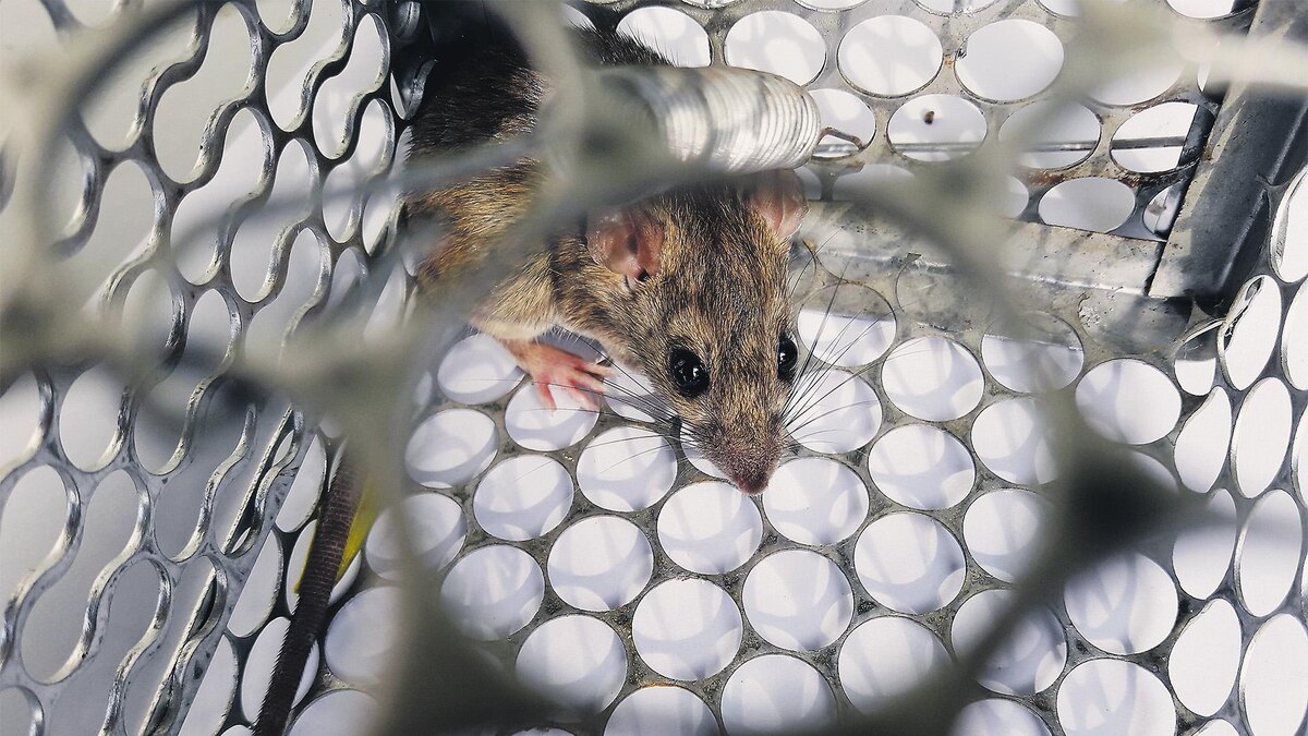 Фотография взята с источника https://wp-uploads.storage.yandexcloud.net/