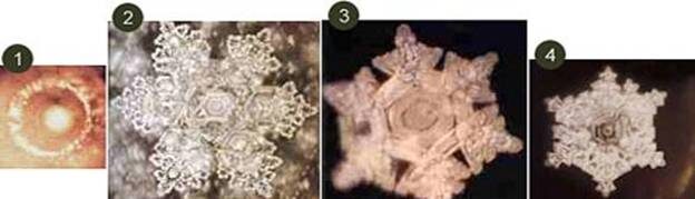 Кристаллы воды. Источник: "Тайная жизнь воды". Масару Эмото.