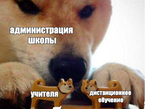 Вот так я вижу процесс перехода на дистанционное обучение