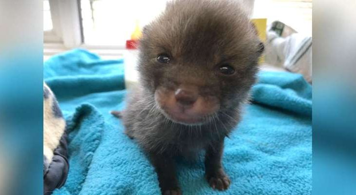 Фотоматериал: msn.com 