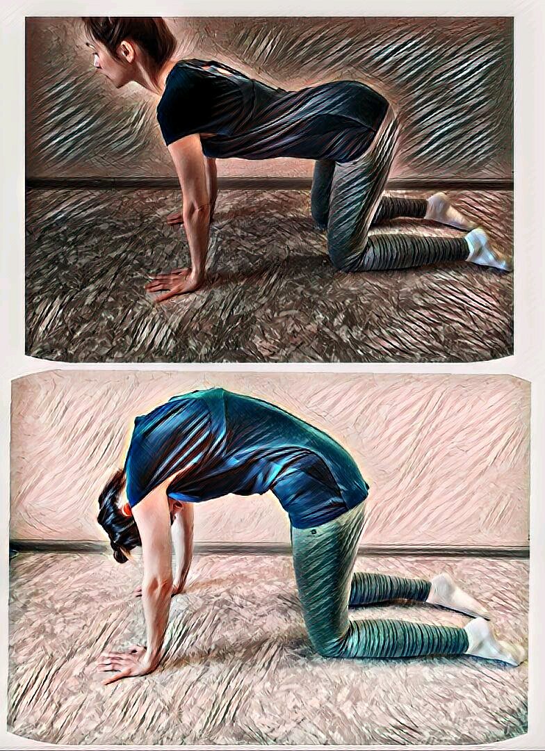 Упражнение "Кошечка"