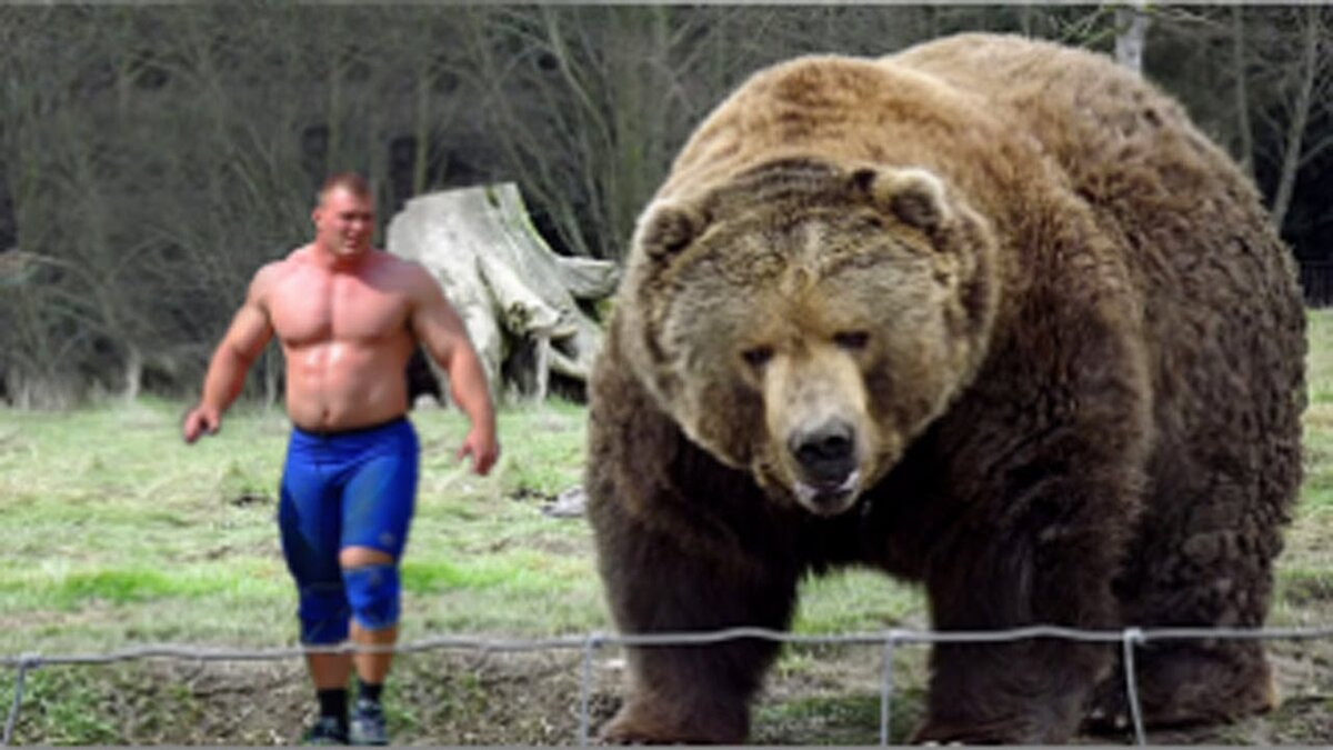 Очень большой медвежонок!!! 😀