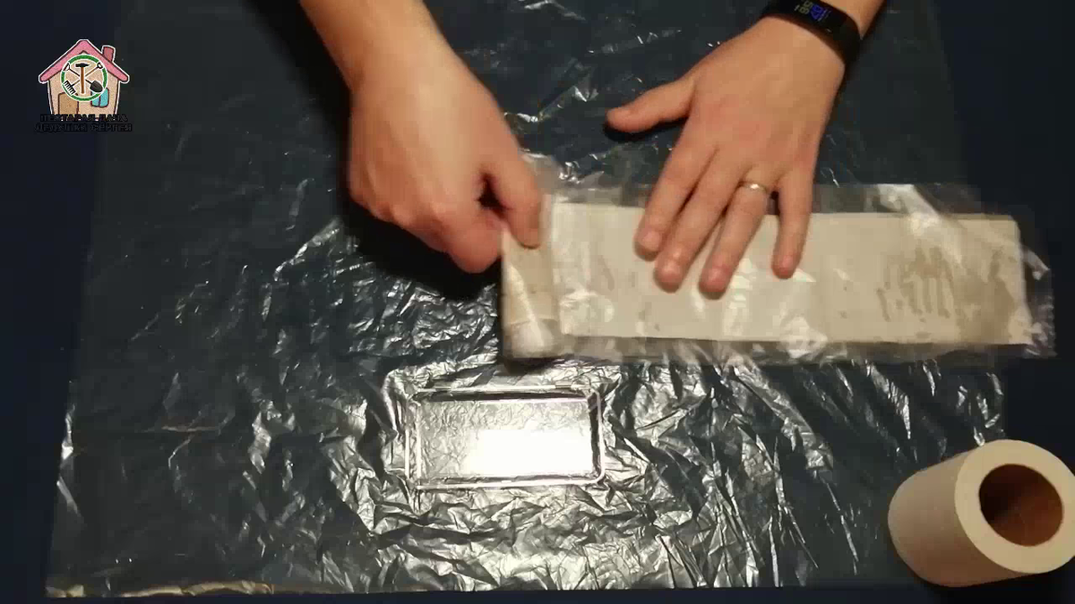 Фото 1. Проращивание семян в туалетной бумаге.