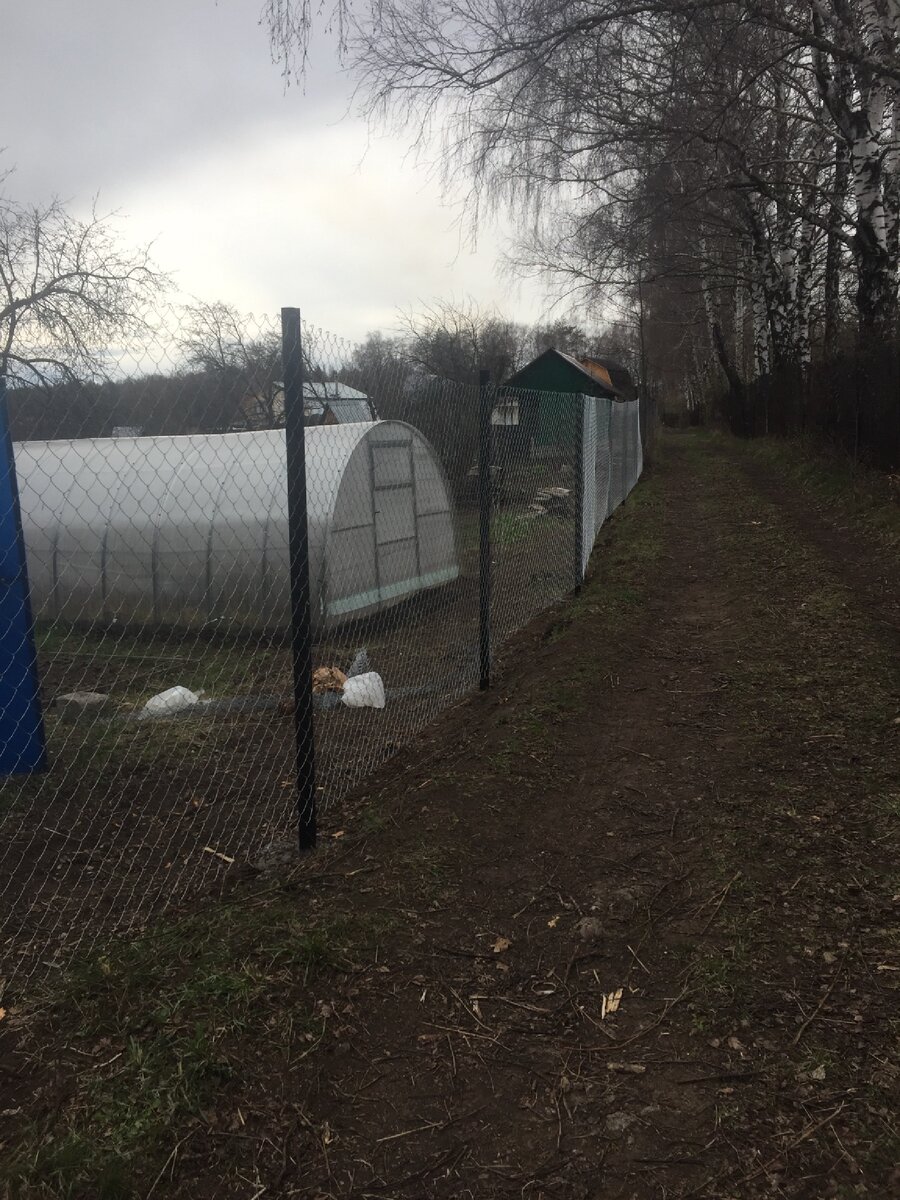 Сначала поставили стообы и натянули сетку