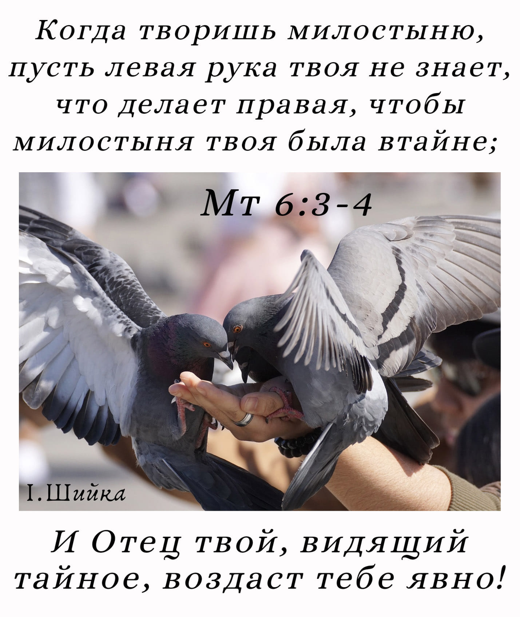 Почему ритуалы и заговоры — это дичь, даже если кажется, что они работают