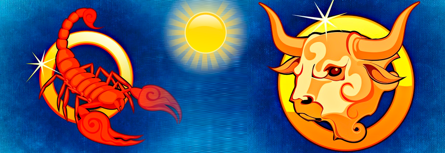 Близнецы солнце в скорпионе. Солнце в тельце. Солнце и Телец. Солнце в скорпе.