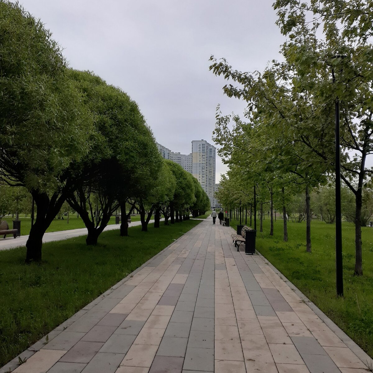Парки в тюмени для прогулок. Парки тюмени для прогулок. парки москвы для прогулок. ворошиловский парк москва. москва парк для прогулок,деревья,дома жилые,.