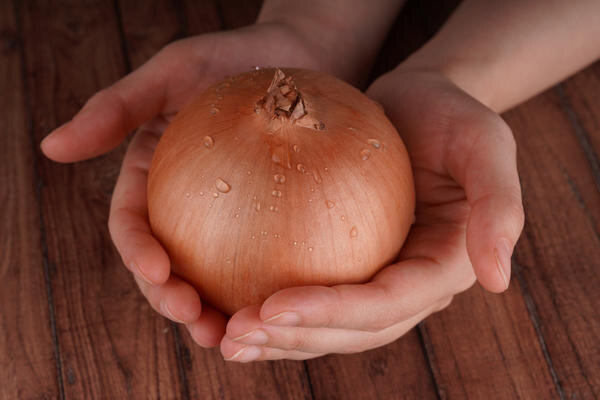 КРУПНЫЙ ЛУК