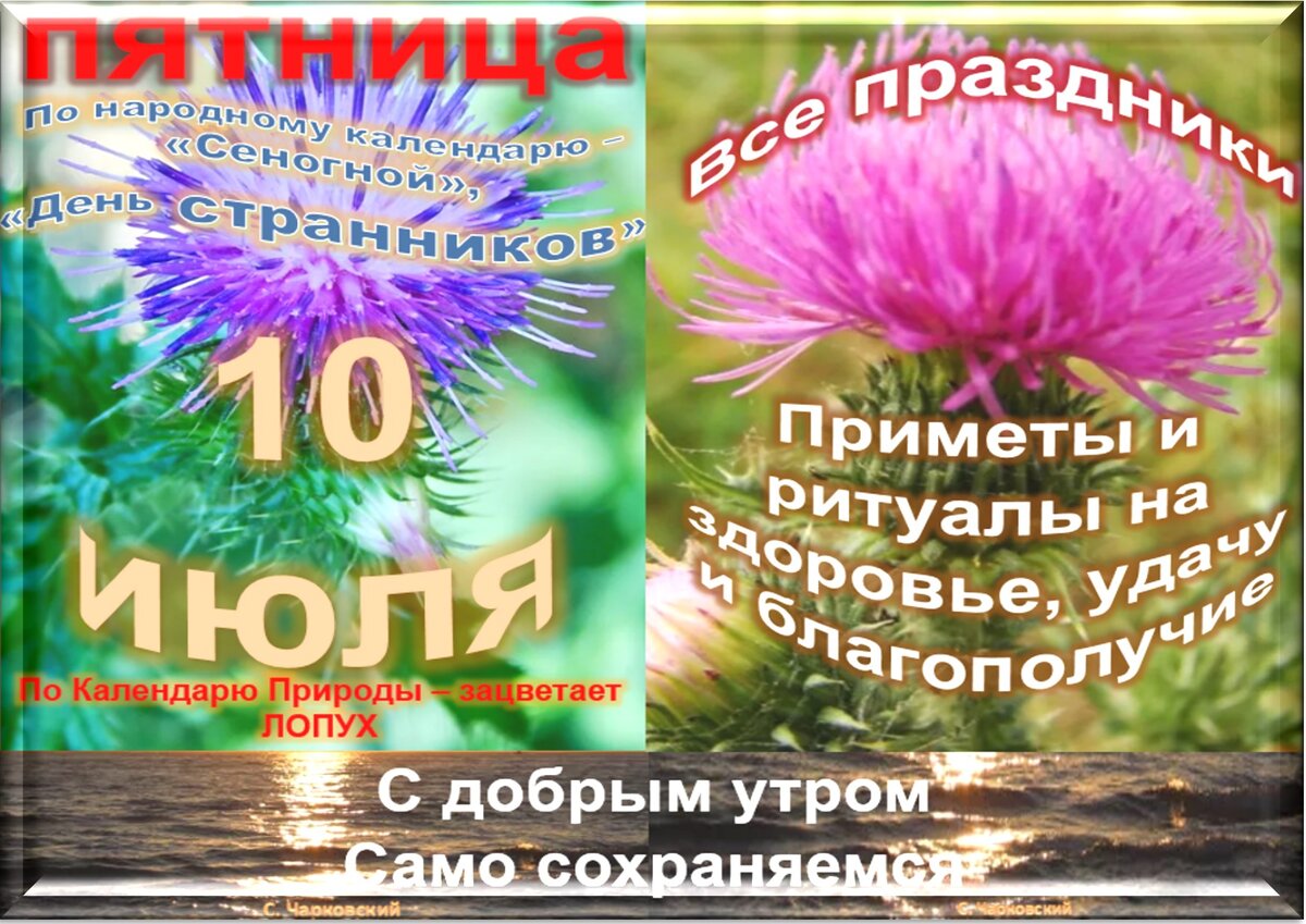 10 июля приметы. 10 Июля какой праздник. 10 Июля праздники и приметы. 6 Июля приметы и ритуалы на здоровье.