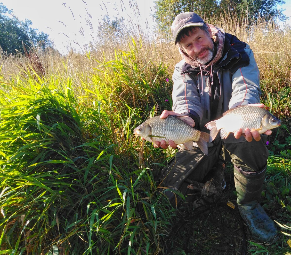 Парочка утренних карасевичей