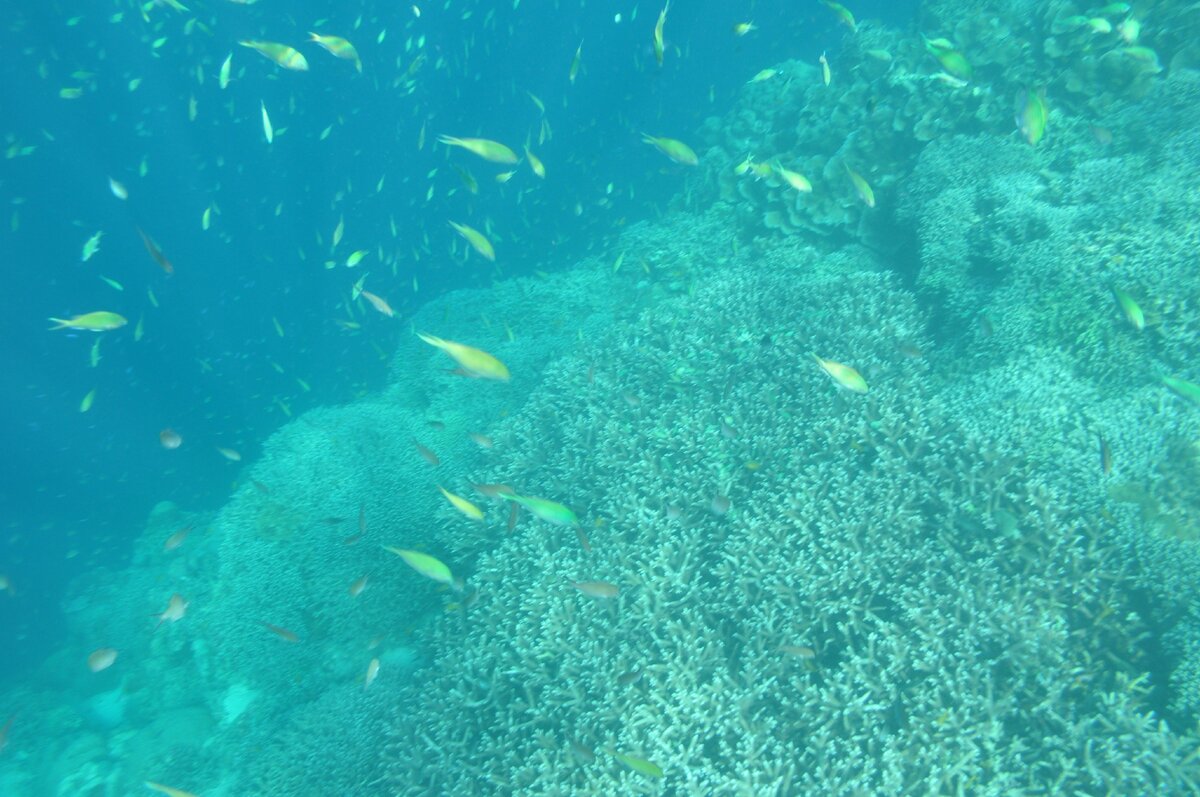 наше фото с архива 