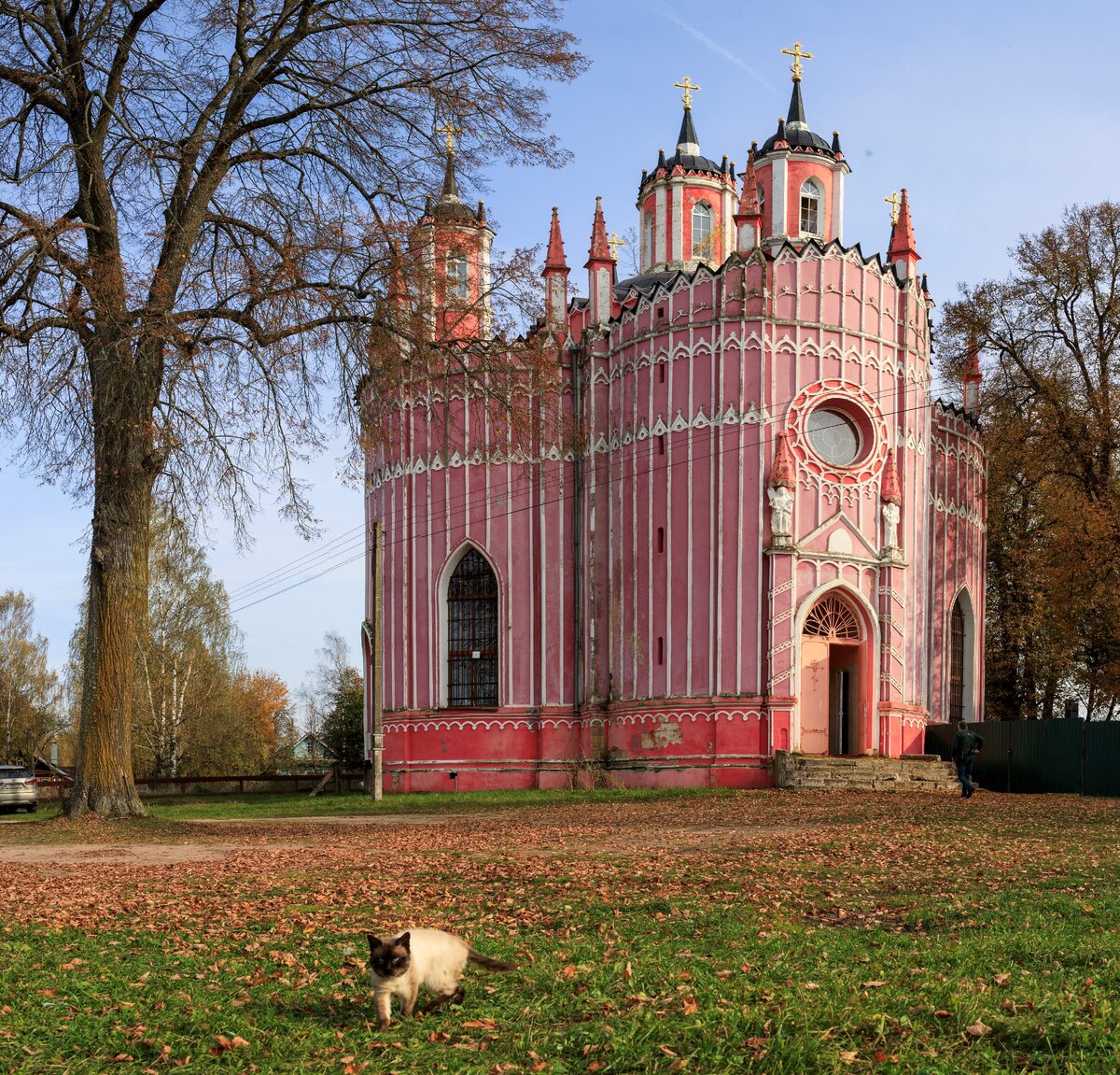 чесменская церковь в санкт петербурге