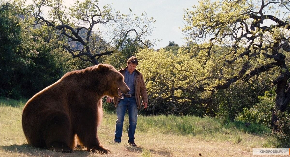 Иллюстрация из сети