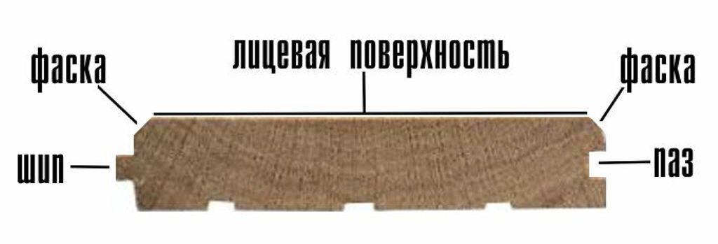 Массивная доска - разрез