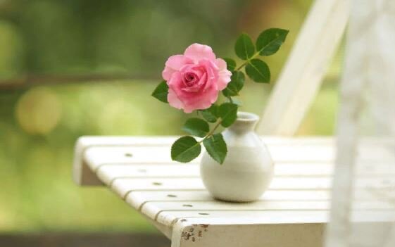 Иллюстрация из открытого доступа