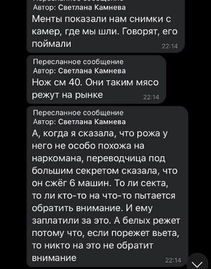 скриншот из чата