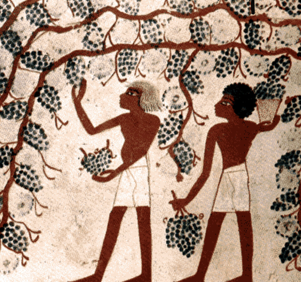 Борьба с наркотиками 