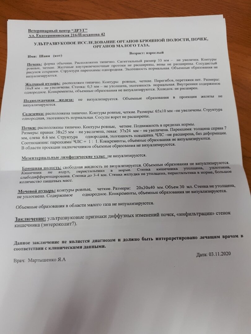 Узи внутренних органов и сердца