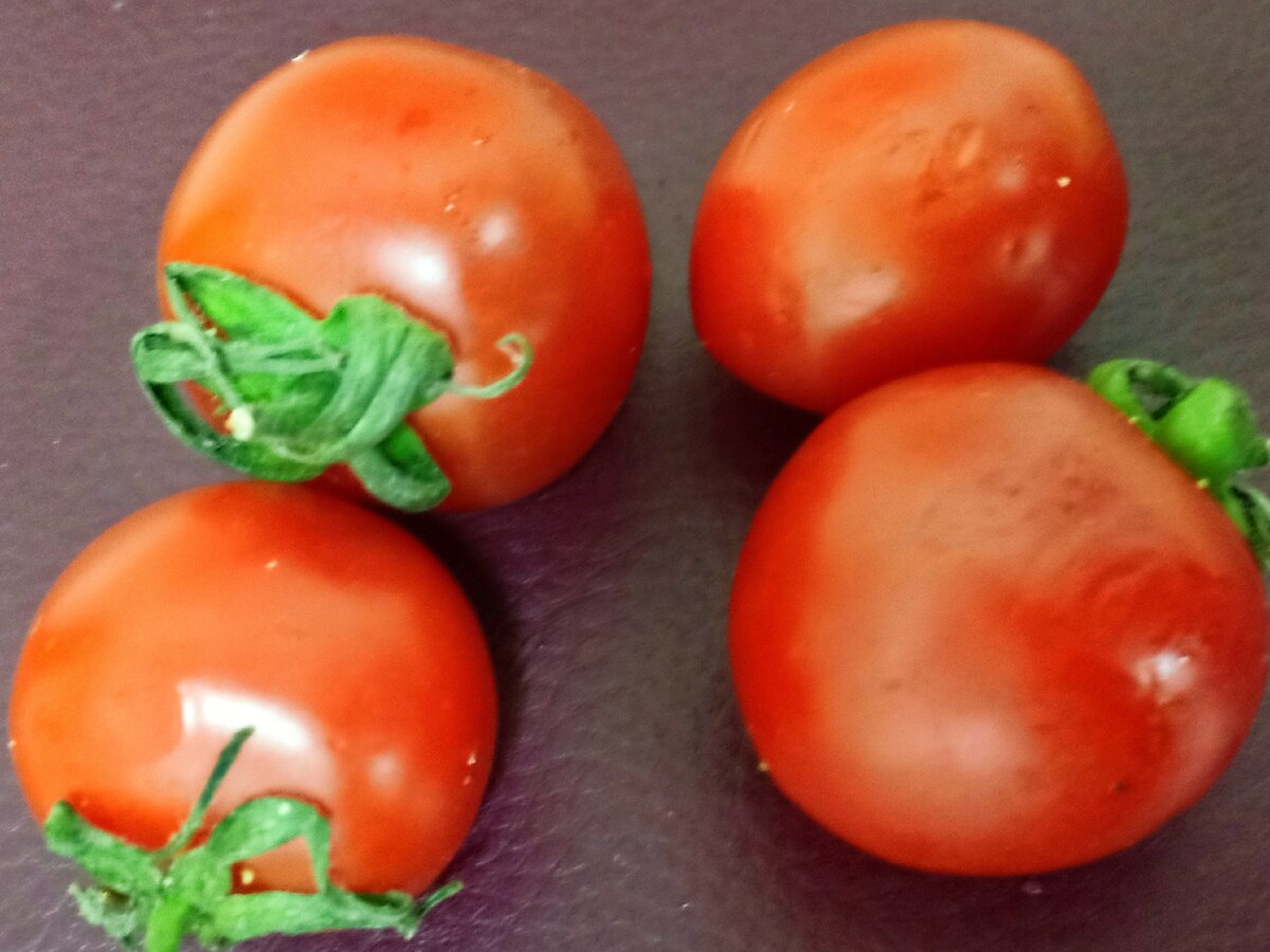 Лучший продукт будет тот, который сделан собственными руками на честном труде!