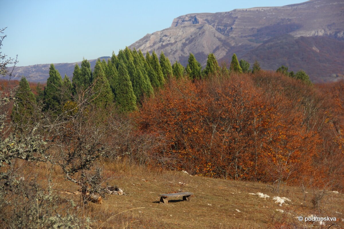 Роща секвой в Алуште