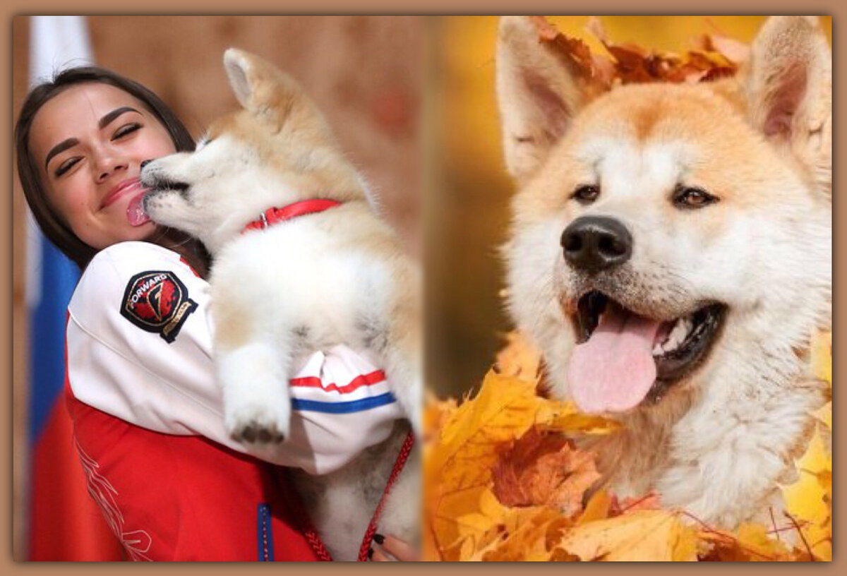 Алина Загитова и Масару