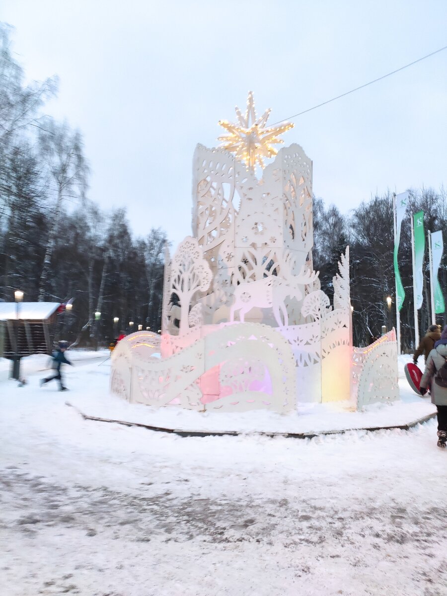 каток в парке кузьминки