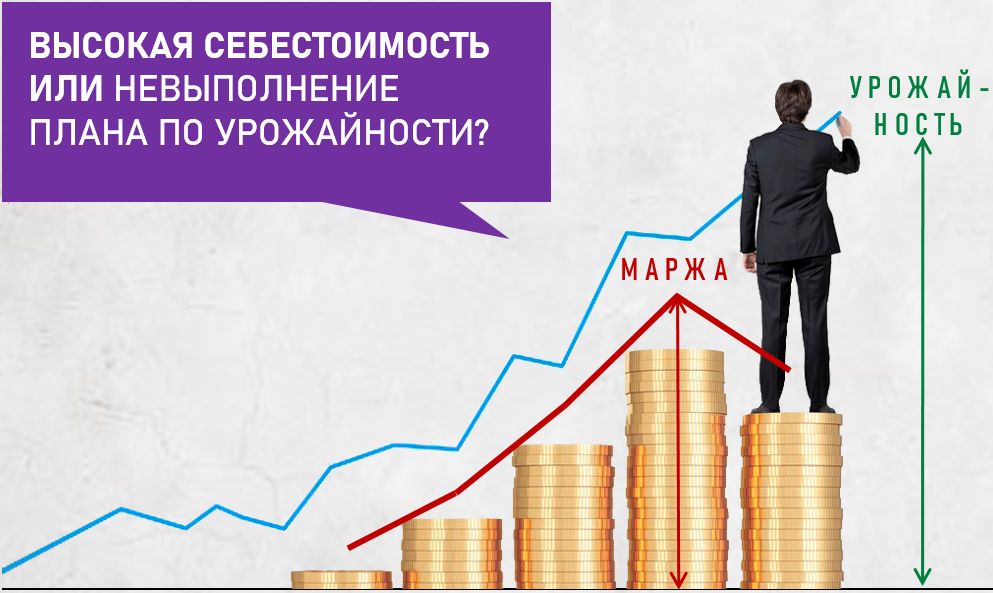 Высокая себестоимость или невыполнение плана по урожайности?