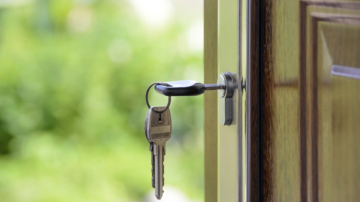 Взято на https://pixabay.com/ru/