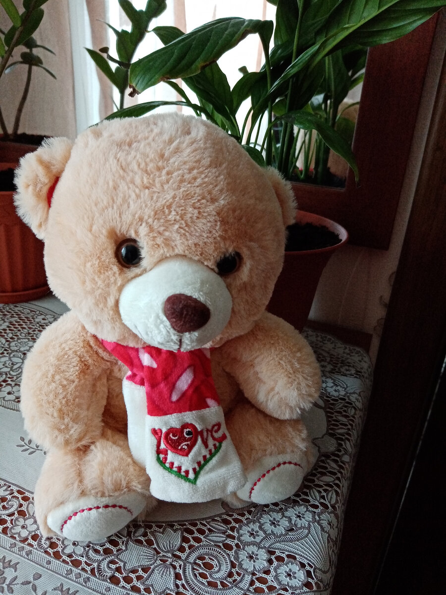 ТАЙНА УСЫНОВЛЕНИЯ 