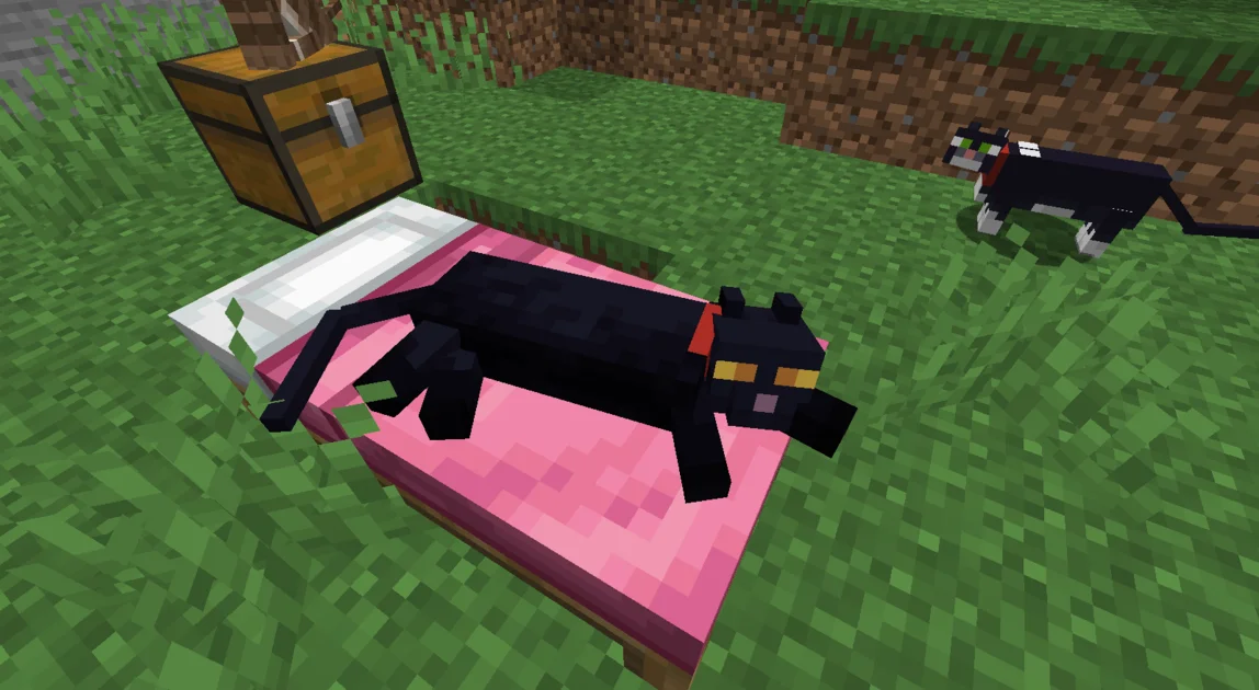 Not Enough Cats Mod 1.12.2, 1.11.2 (New Cat Types & Spawning Behavior) - 9Minecr