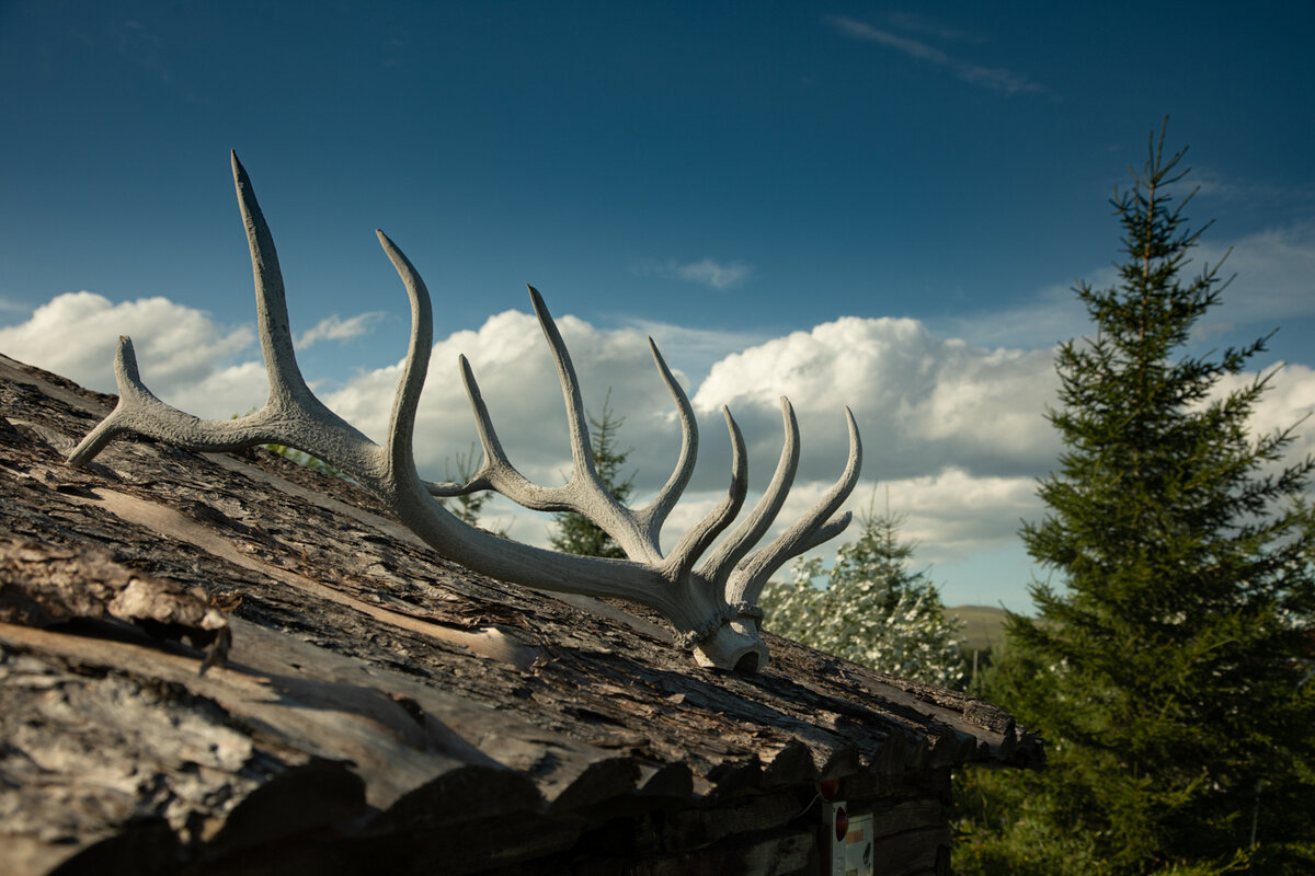Вход в юрту украшен оленьими рогами 