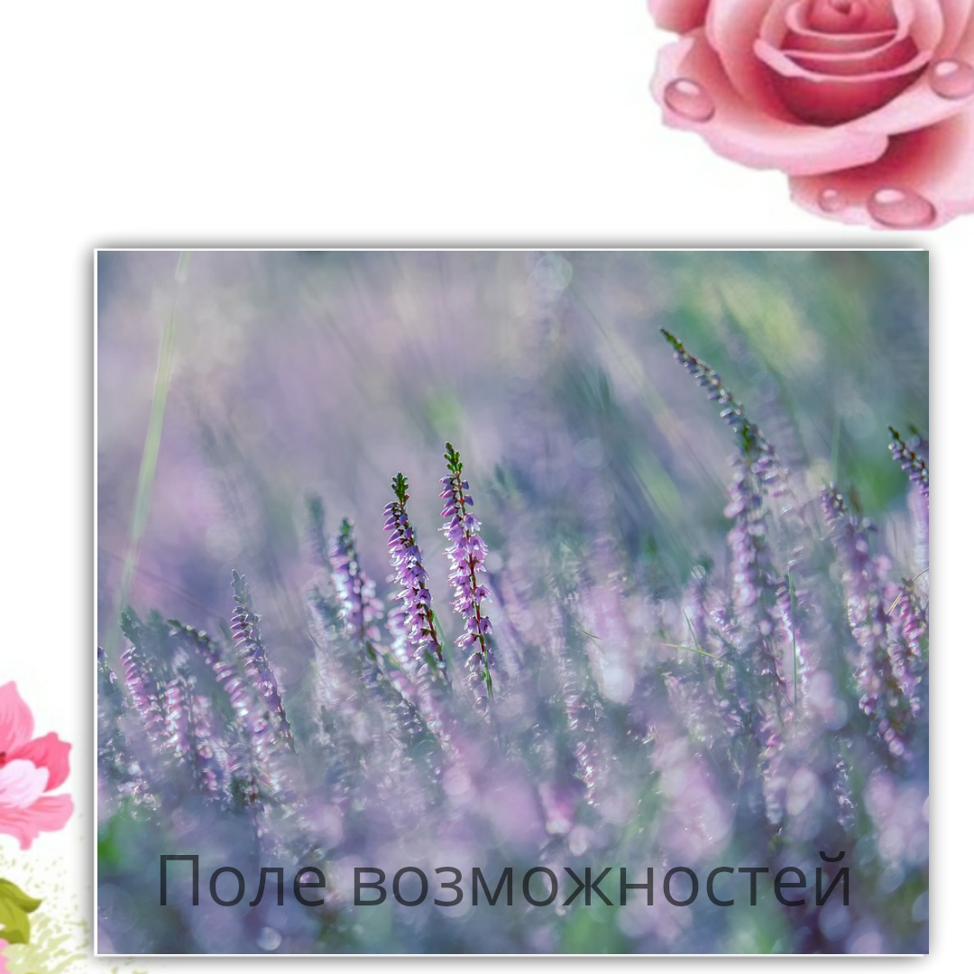 Поле возможностей