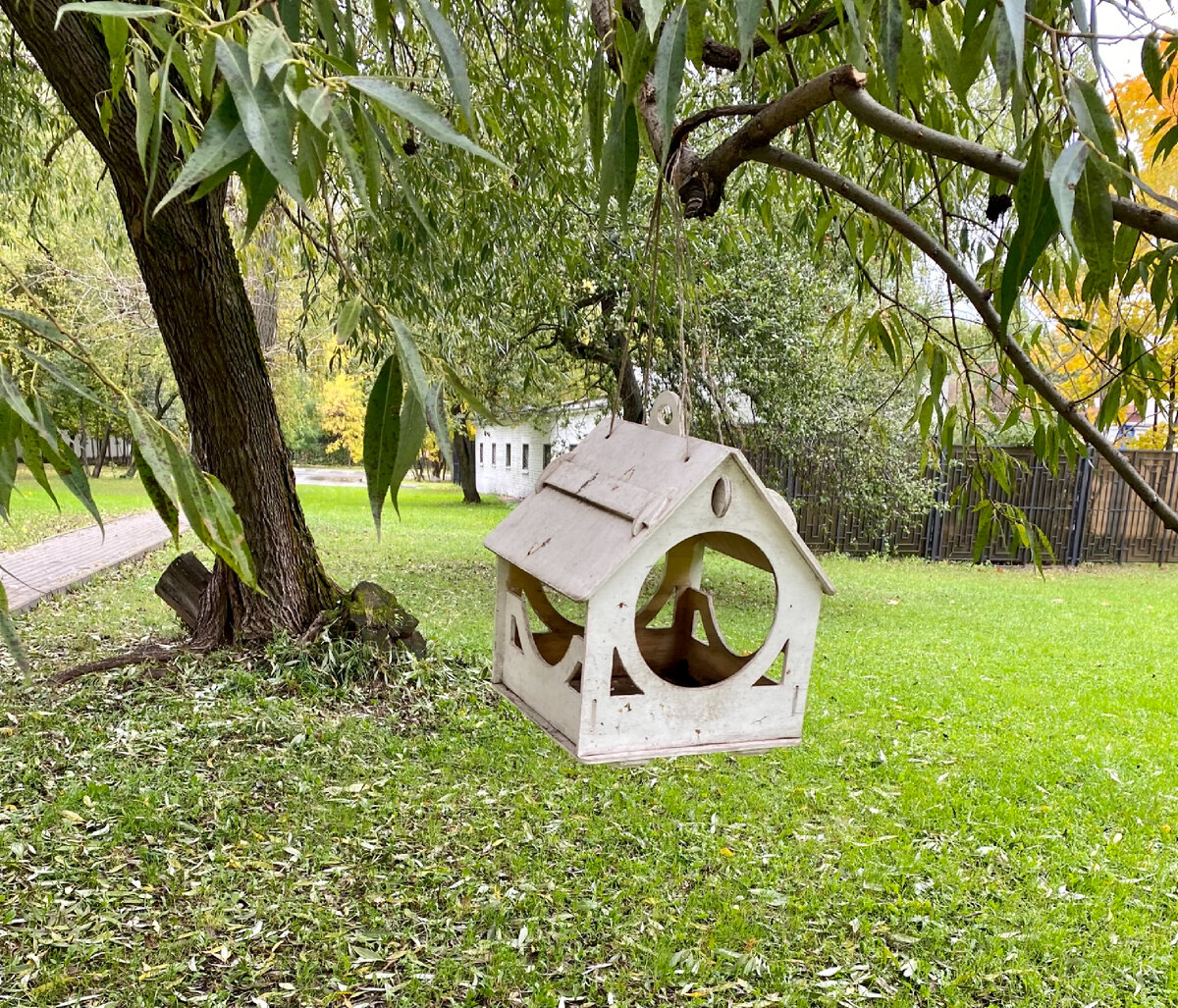 картинки осени вокруг нас