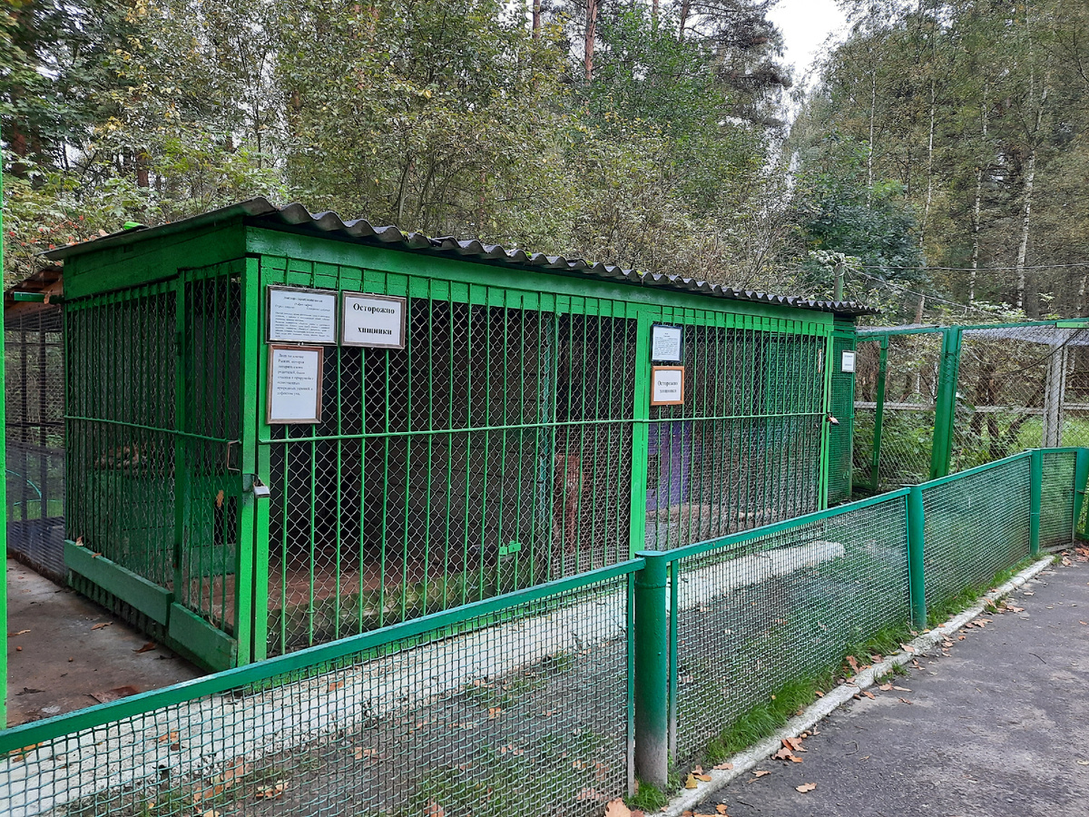 Комнатушки для лисиц