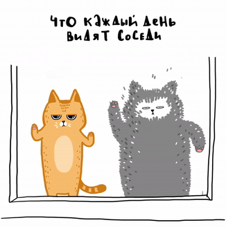 Днем и ночью котики усердно натирают окна во имя самих себя! 😂
