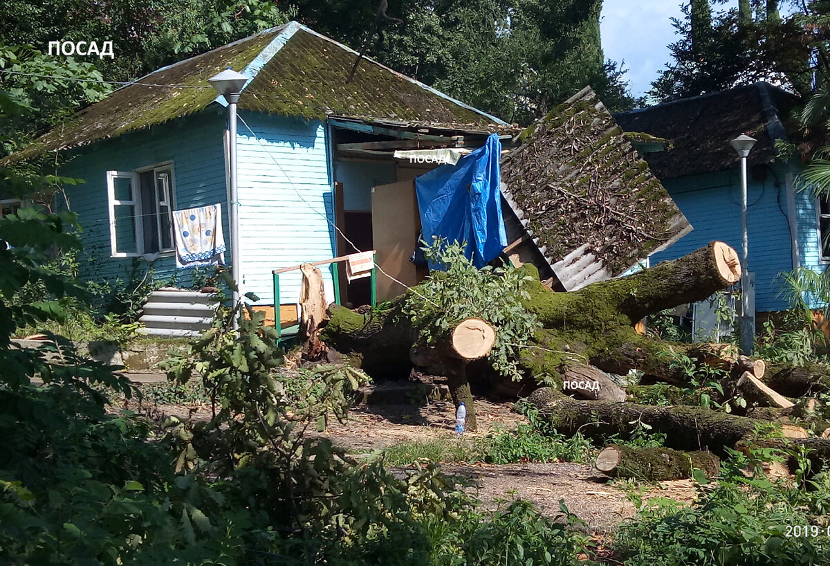 Вот что может натворить старое трухлявое дерево. Это, конечно же, не берёза. Фотография, безобразия, учинённого берёзой, есть в предыдущей статье.