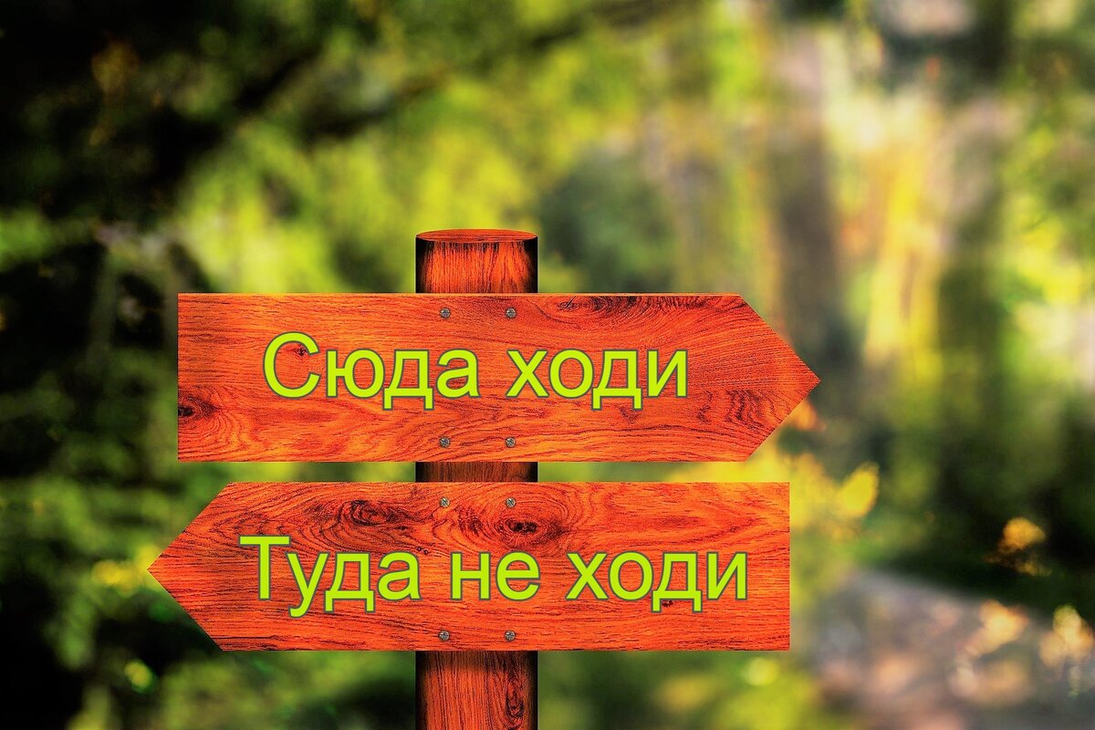 Сервитут? А что это? Почему всем, кто владеет недвижимостью, или хочет её  купить, необходимо знать, что это такое | ЗЕМЛЯ НА ЯТЬ | АНДРЕЙ ЛЕНДОНЕР ✓  | Дзен